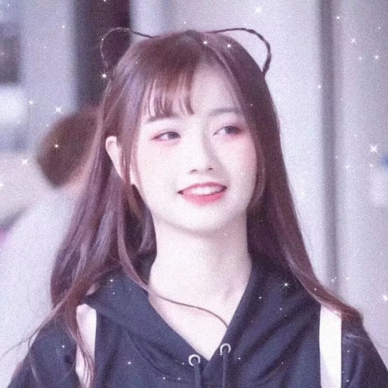 探索发现秘境追踪第五季
