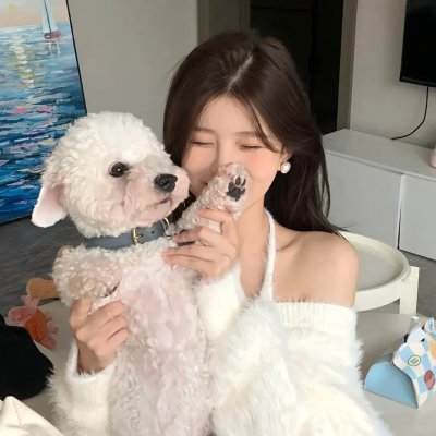 狐门秘事第一季